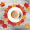 1100PCS Fall Artificial Maple Leaves Thanksgiving Autumn Leaf Wedding Party Table Decor,Multicolored